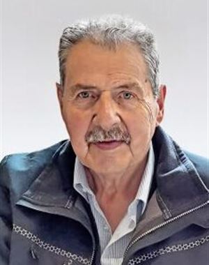 Albert Johann Stockner