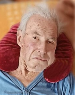 Wilhelm Niederstätter