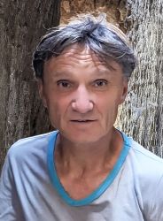 Paul Aster