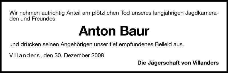 Vorschau der Anzeige 2