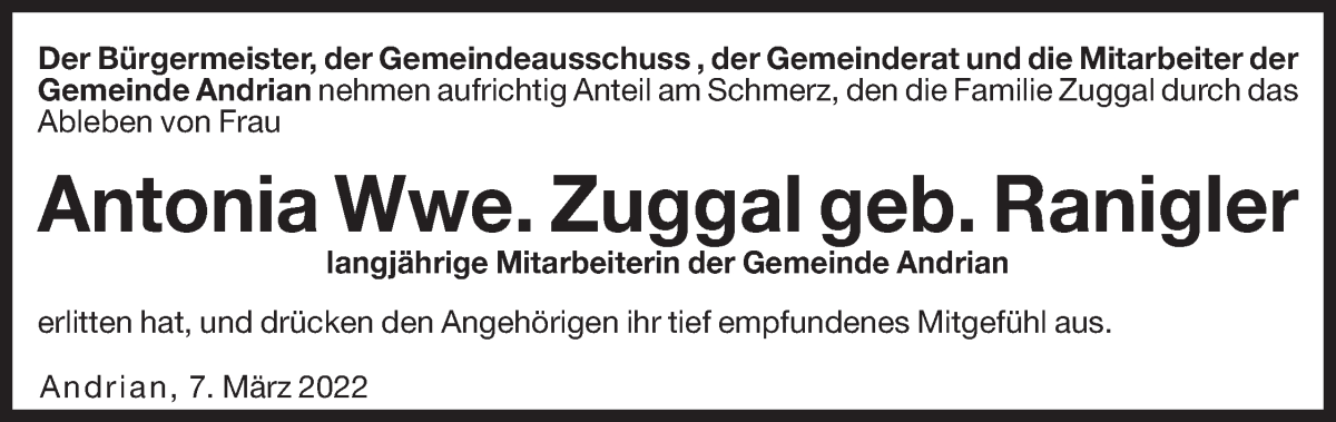 Vorschau der Anzeige 2