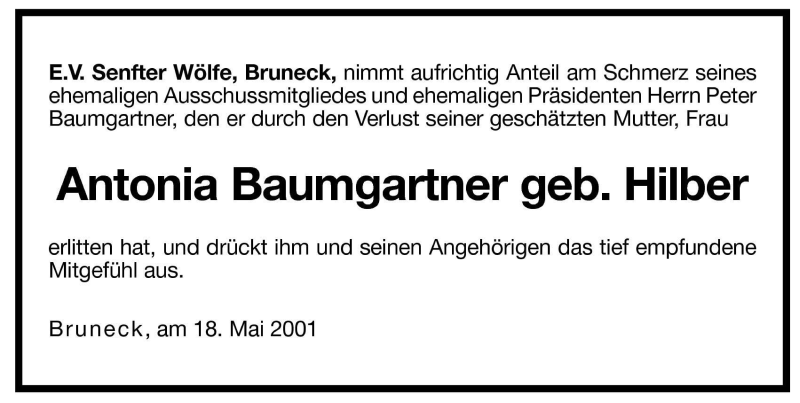 Vorschau der Anzeige 2