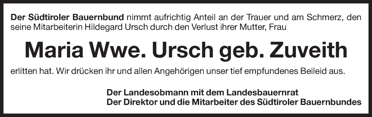 Vorschau der Anzeige 2