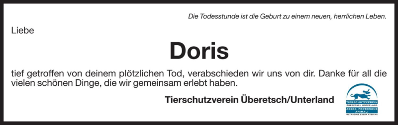 Vorschau der Anzeige 2