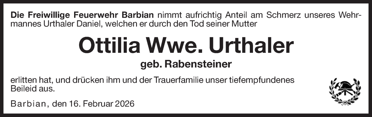 Vorschau der Anzeige 2