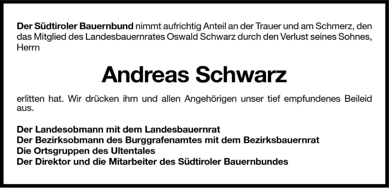 Vorschau der Anzeige 3