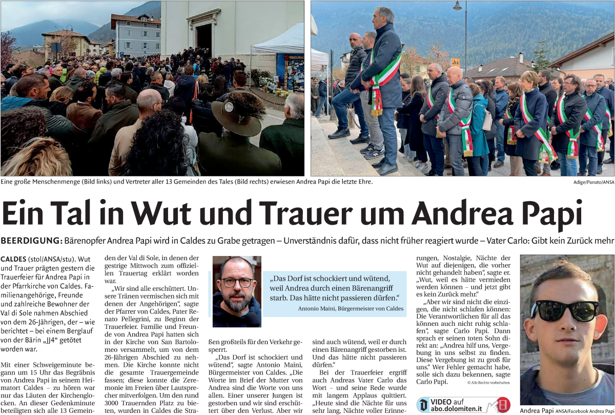 Vorschau der Anzeige 2