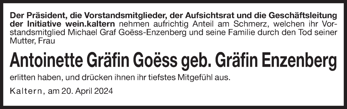 Vorschau der Anzeige 2