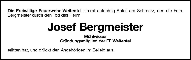 Vorschau der Anzeige 2