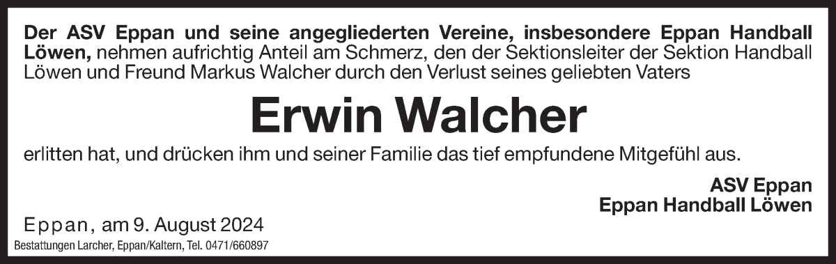 Vorschau der Anzeige 2