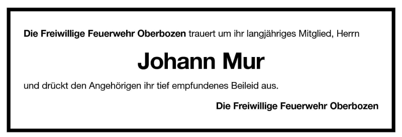 Vorschau der Anzeige 2