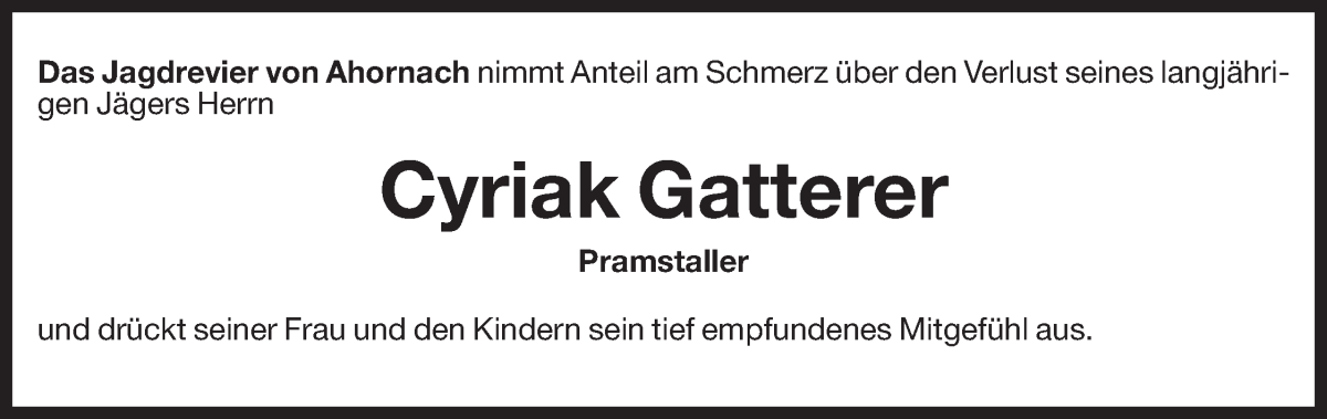 Vorschau der Anzeige 3