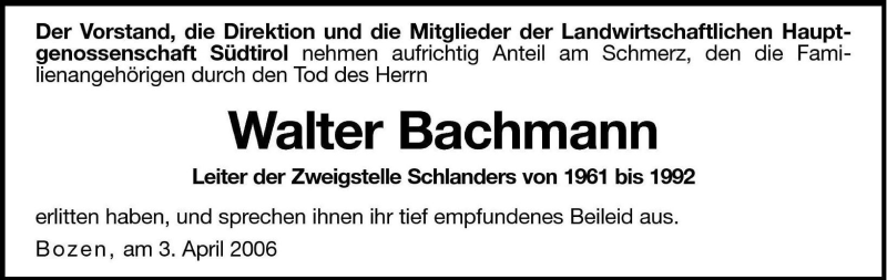 Vorschau der Anzeige 2