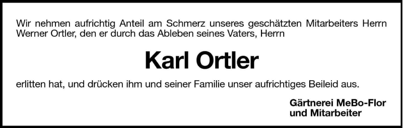 Vorschau der Anzeige 2