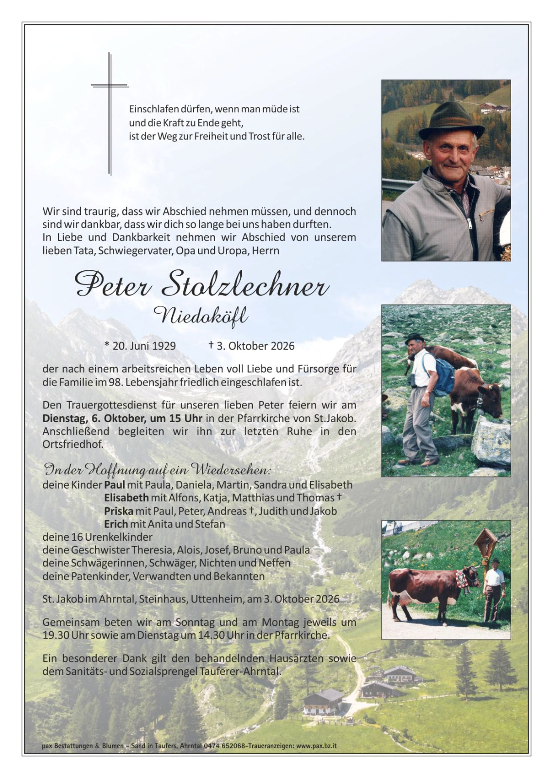 Vorschau der Anzeige 1
