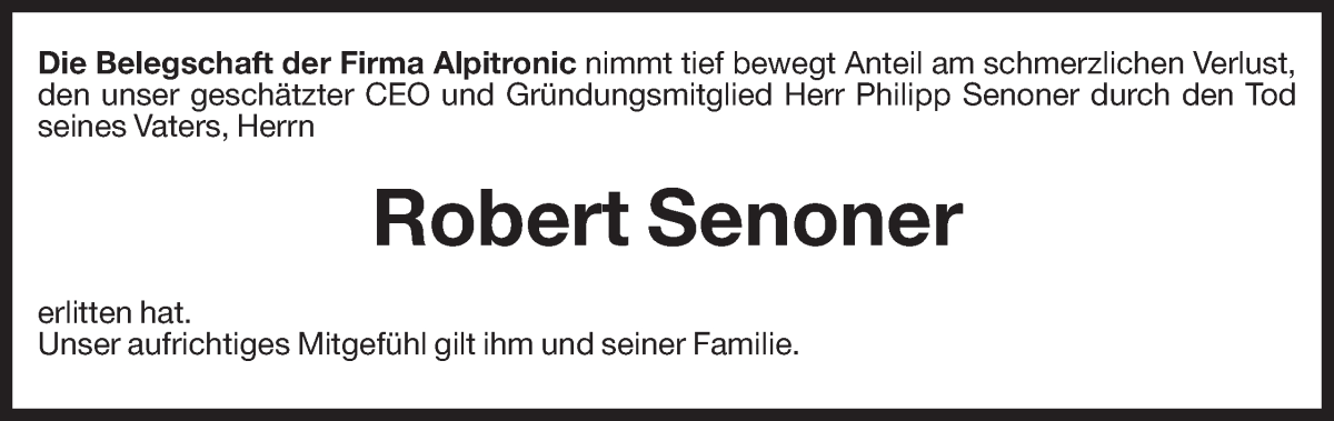 Vorschau der Anzeige 2