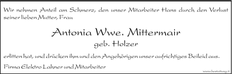 Vorschau der Anzeige 2