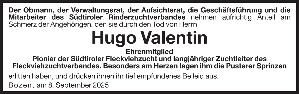 Vorschau der Anzeige 2