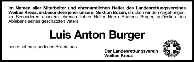 Vorschau der Anzeige 2