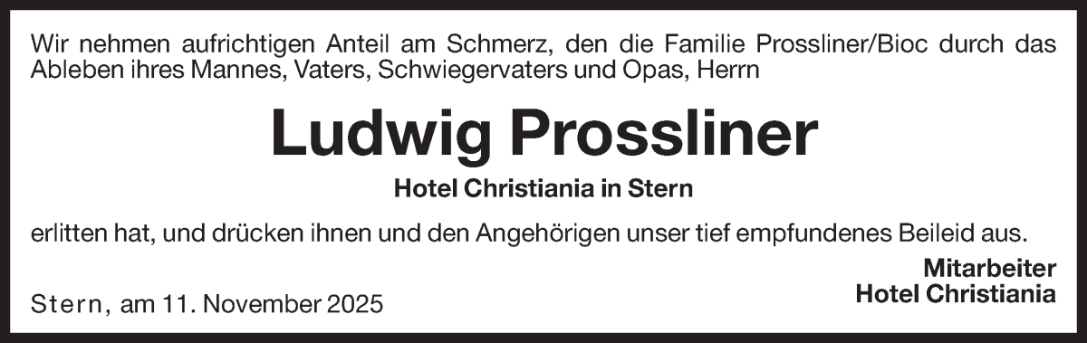 Vorschau der Anzeige 2