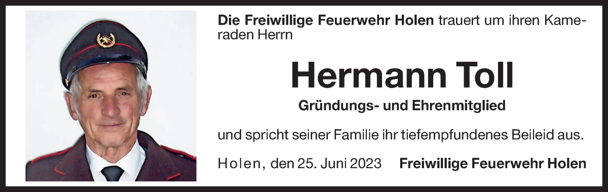 Vorschau der Anzeige 2