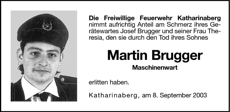 Vorschau der Anzeige 2