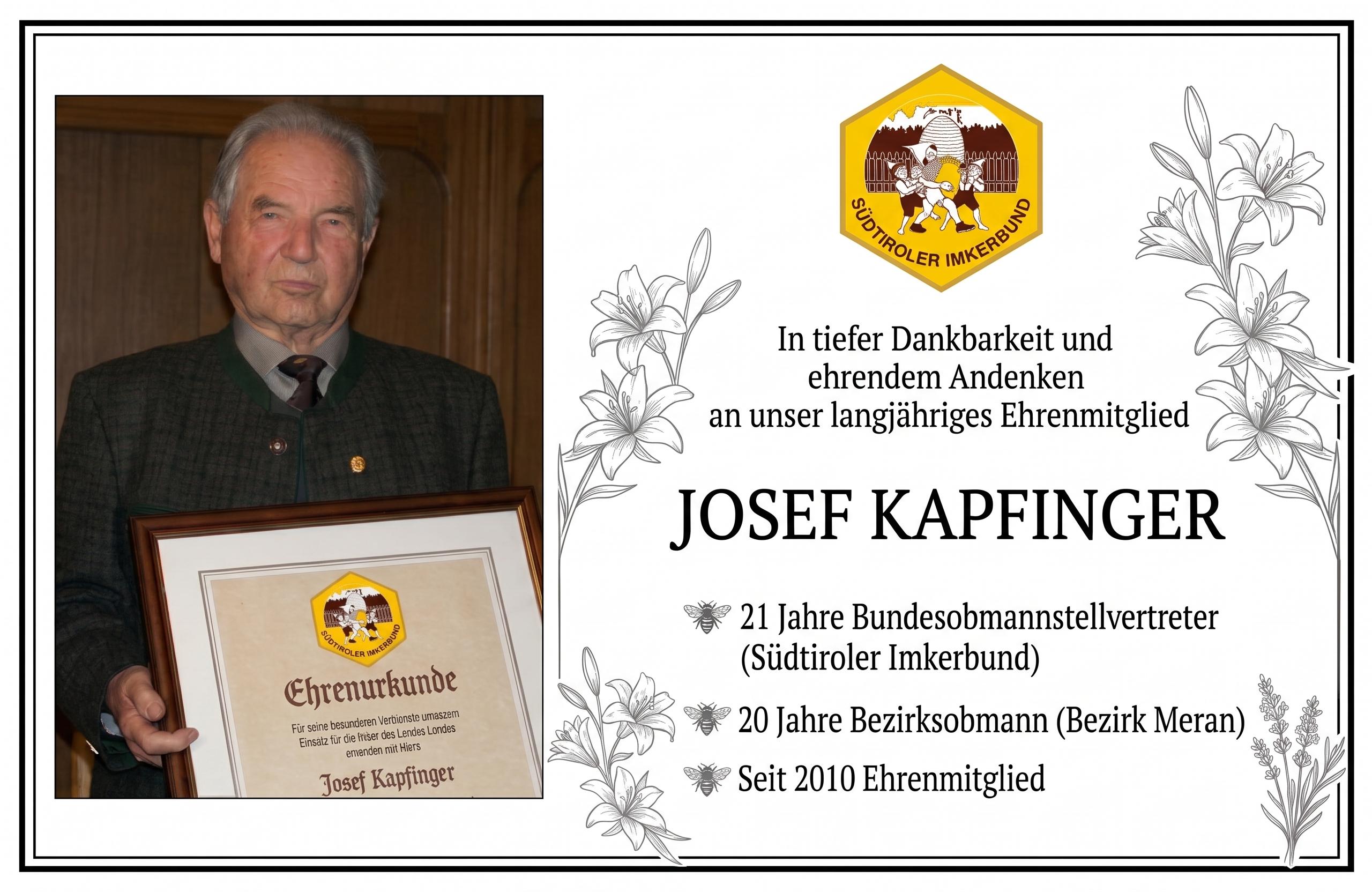 Vorschau der Anzeige 4