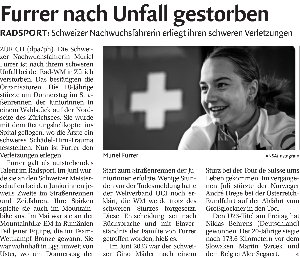 Vorschau der Anzeige 1