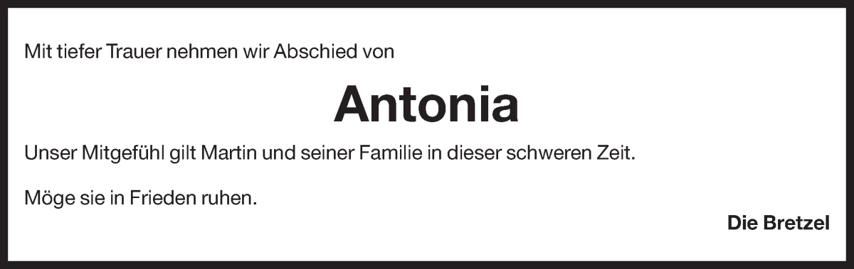 Vorschau der Anzeige 2